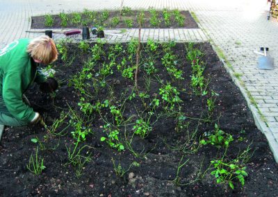 Garten- und Landschaftsbau | Galabau - IKW GmbH